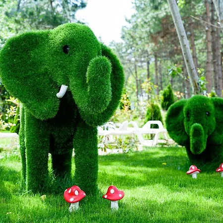 Sweet Homes 6 サニービーチ